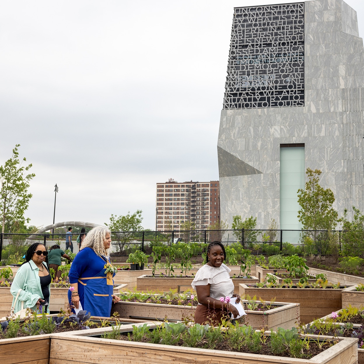 Produce from the teaching kitchen garden at the Obama Presidential Center